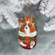 Personalized Cavalier King Charles Spaniel Dog Snow Pocket YR0111019CL Ornaments