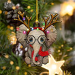 Personalized Funny Elephant Reindeer YR0111018CL Ornaments