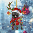 Personalized Cairn Terrier Christmas YR0111007YS Ornaments