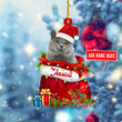 Personalized British Cat Christmas YR0311020YF Ornaments