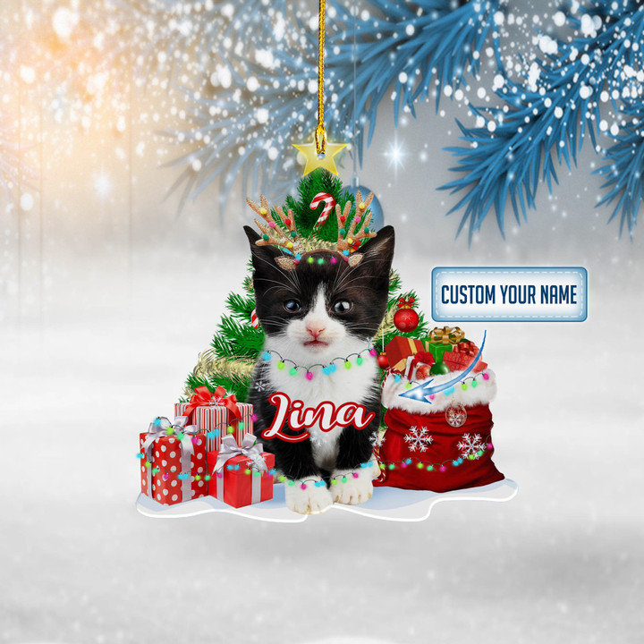 Personalized Tuxedo Cat Baby NI2611004YI Ornaments
