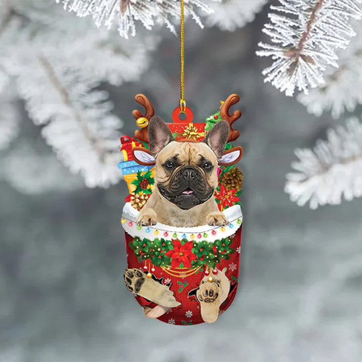 Personalized French Bulldog Snow Pocket YR0111028CL Ornaments