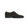 Suede Wingtip Oxford With Brogue