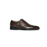 Brown Single Monkstrap With Brogue