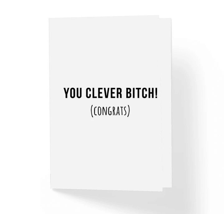 You Clever Bitch Folder Greeting Card Set Of 10