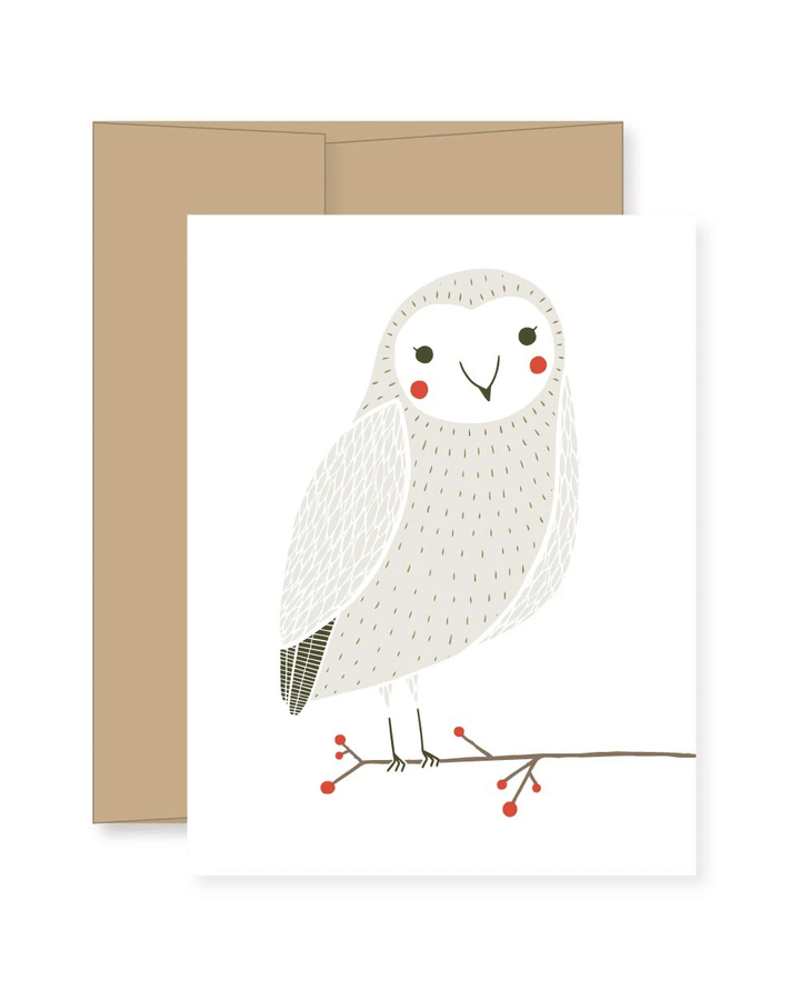 Merriment Snow Owl Folder Greeting Card Set Of 10