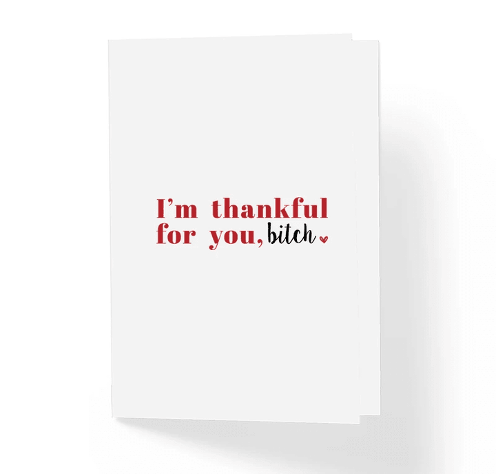 I'm Thankful For You Bitch Folder Greeting Card Set Of 10