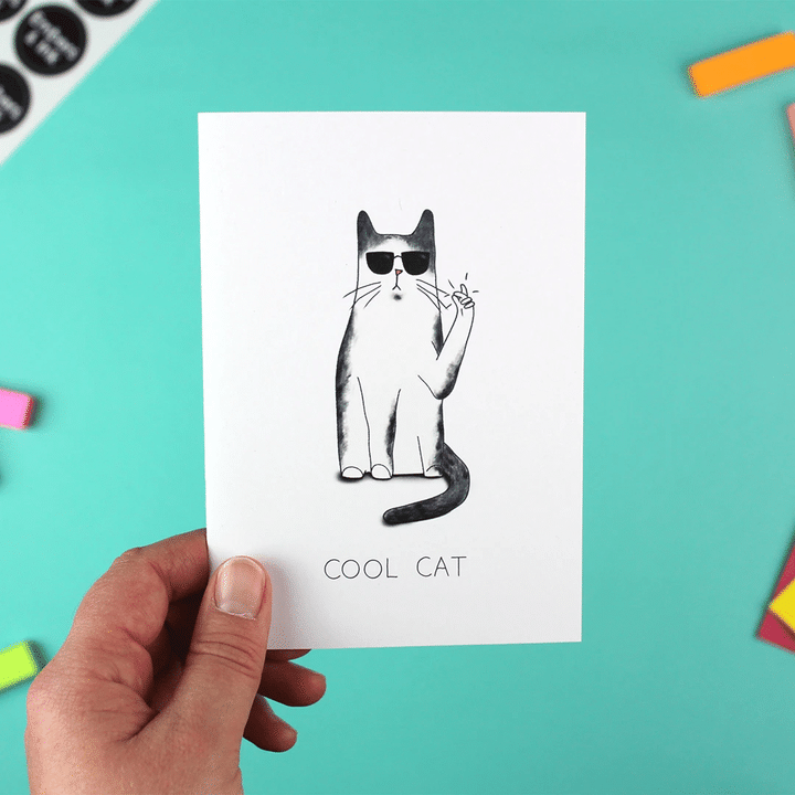 Cool Cat Greetings Folder Greeting Card Set Of 10