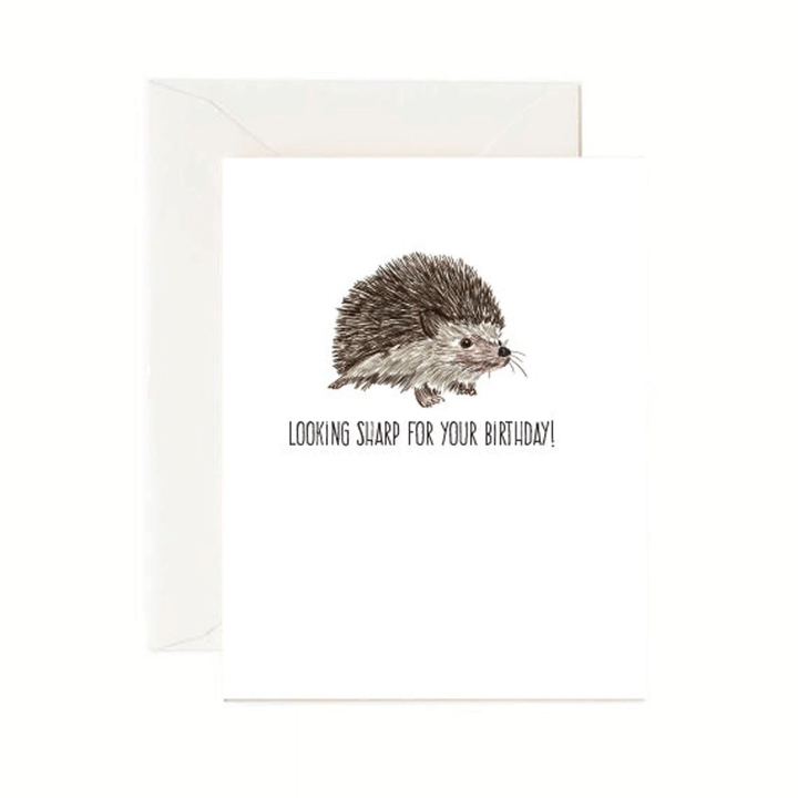 Looking Sharp Hedgehog Birthday Folder Greeting Card Set Of 10
