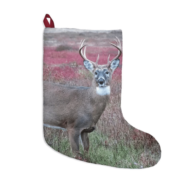 Christmas Stocking Hanging Ornaments Celebrating The Great Smoky Mountain National Park