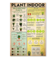 Plant Indoor Poster Trending Gift For Mom