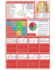 Anatomy Of The Ecg Waveform Views Of The Heart Special Custom Design Vertical Poster