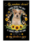 My Sunshine Comes From The Love In My Heeler's Eyes Trending Vertical Poster