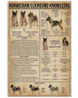 Norwegian Elkhound Knowledge Special Custom Design For Dog Lovers Vertical Poster