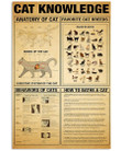 Veterinarian - Cat Knowledge Anatomy Of Cat Favorite Cat Breeds Behavior Of Cat Vertical Poster