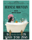 Funny Bernese Mountain Co Bath Soap Wash You Paws Gift For Dog Lovers Vertical Poster