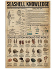 Something You Should Know About Seashell Knowledge Vertical Poster