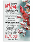 To My Mom From Son Pay You Back Cardinal Birds Vertical Poster