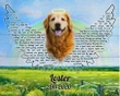Rainbow Bridge Gift For Dog Lovers Custom Name And Number And Photo Matte Canvas