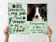 Forever In My Heart Gift For Dog Lovers Custom Name And Photo And Number Matte Canvas