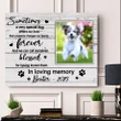Special Dog In My Life Gift For Dog Lovers Custom Name And Photo And Number Matte Canvas