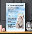 Cat's Prayer For Grieving Humans Baby Cat Gift For Cat Lovers Matte Canvas