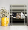 Cats With Window Blind Custom Photo Matte Canvas
