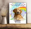 Rainbow Dog In Heaven Custom Name And Number Matte Canvas