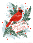 Cardinal Christmas Tea Towel Beautiful Folder Greeting Card Set Of 10