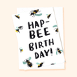 British Bee Birthday Folder Greeting Card Set Of 10