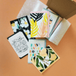 A Year Of Cards Bundle Folder Greeting Card Set Of 10