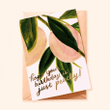 Just Peachy Birthday Folder Greeting Card Set Of 10