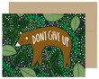 Don't Give Up Bear Folder Greeting Card Set Of 10