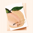 Peach Love Cardfolder Greeting Card Set Of 10
