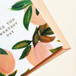 Peach Birthday Folder Greeting Card Set Of 10
