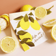 Lemon Congratulations Folder Greeting Card Set Of 10