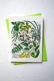 Fabaceae Produce Family Peas Beans Folder Greeting Card Set Of 10