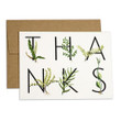 Aesthetic Green Fern Thanks Folder Greeting Card Set Of 10