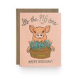 Pig One Birthday Folder Greeting Card Set Of 10