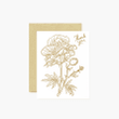 Gold Matilija Poppy Hand Drawn Thank You Folder Greeting Card Set Of 10