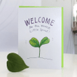 Welcome To The World Little Sprout Folder Greeting Card Set Of 10
