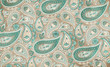 Abstract Teal Blue Paisley Pattern Design Doormat Home Decor