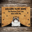 Welcome To My Home Gifts For Cat Lovers Custom Name Doormat Home Decor