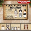 A Crazy Cat Lady Lives Here Custom Name Design Doormat Home Decor