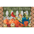 Cardinal Birds Gathering Place Welcome Friends Design Doormat Home Decor