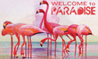 Tropical Flamingo Welcome To Paradise Design Doormat Home Decor