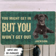 Excellent Doormat Home Decor Custom Name But You Won't Get Out Great Danes Dog