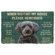 Adorable Schnoodle Dogs When Visting My House Doormat Home Decor