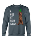 Irish Setter Irish Today Green St. Patrick's Day Printed Sweatshirt
