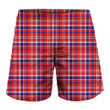 4th Of July American Plaid Print 3D Men's Shorts